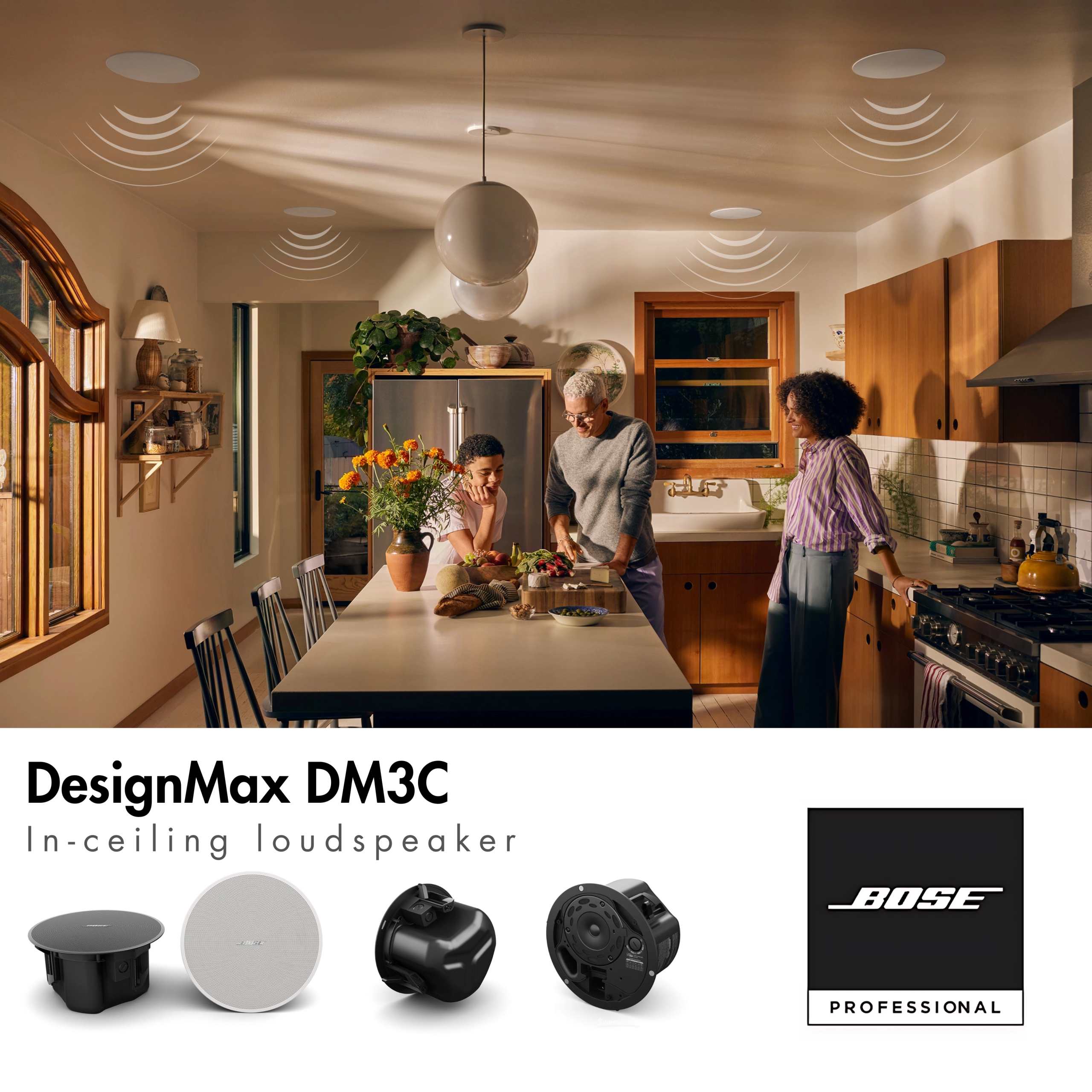 DesignMax DM3C loudspeakers
